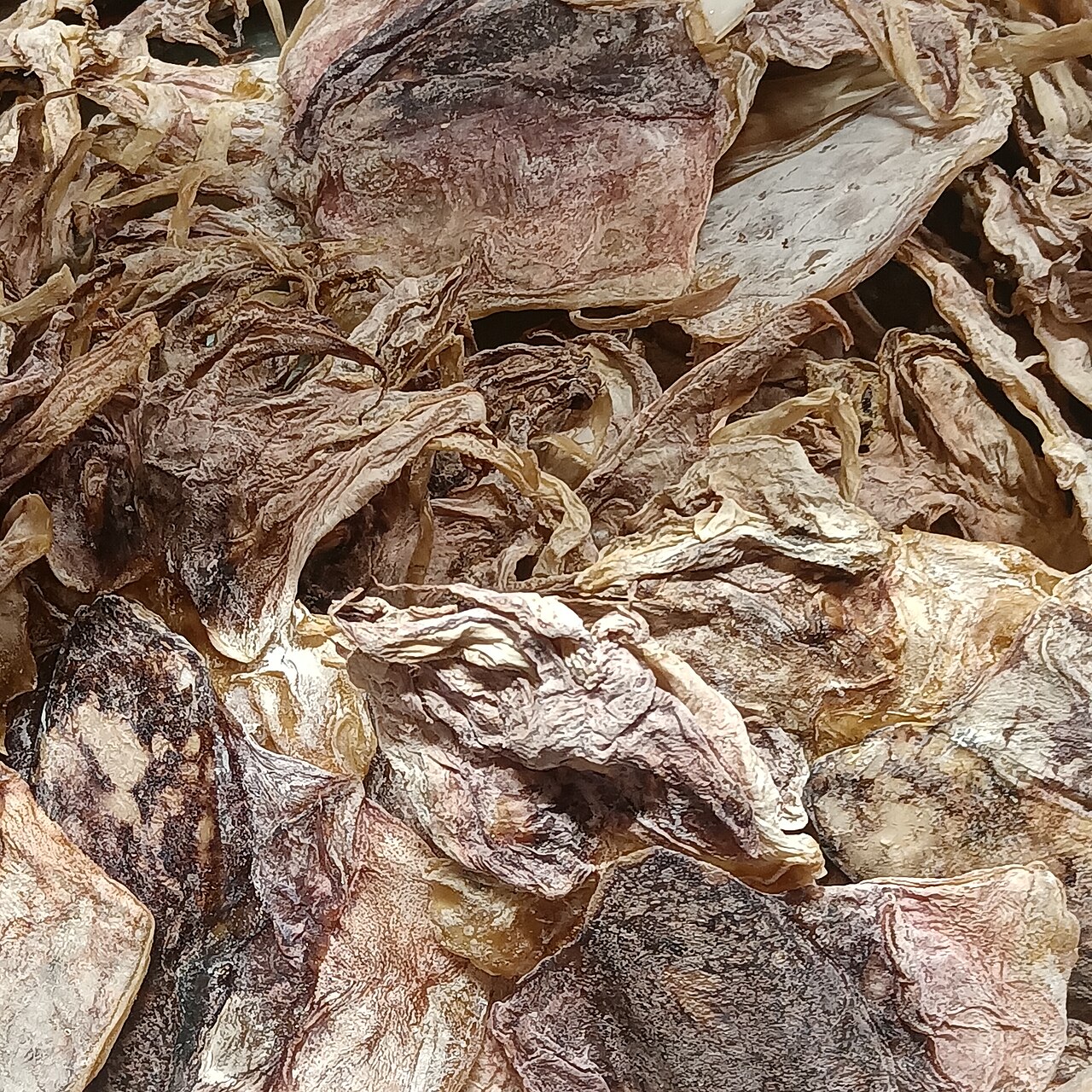 Dried shredded squid
